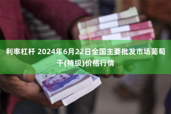 利率杠杆 2024年6月22日全国主要批发市场葡萄干(特级)价格行情